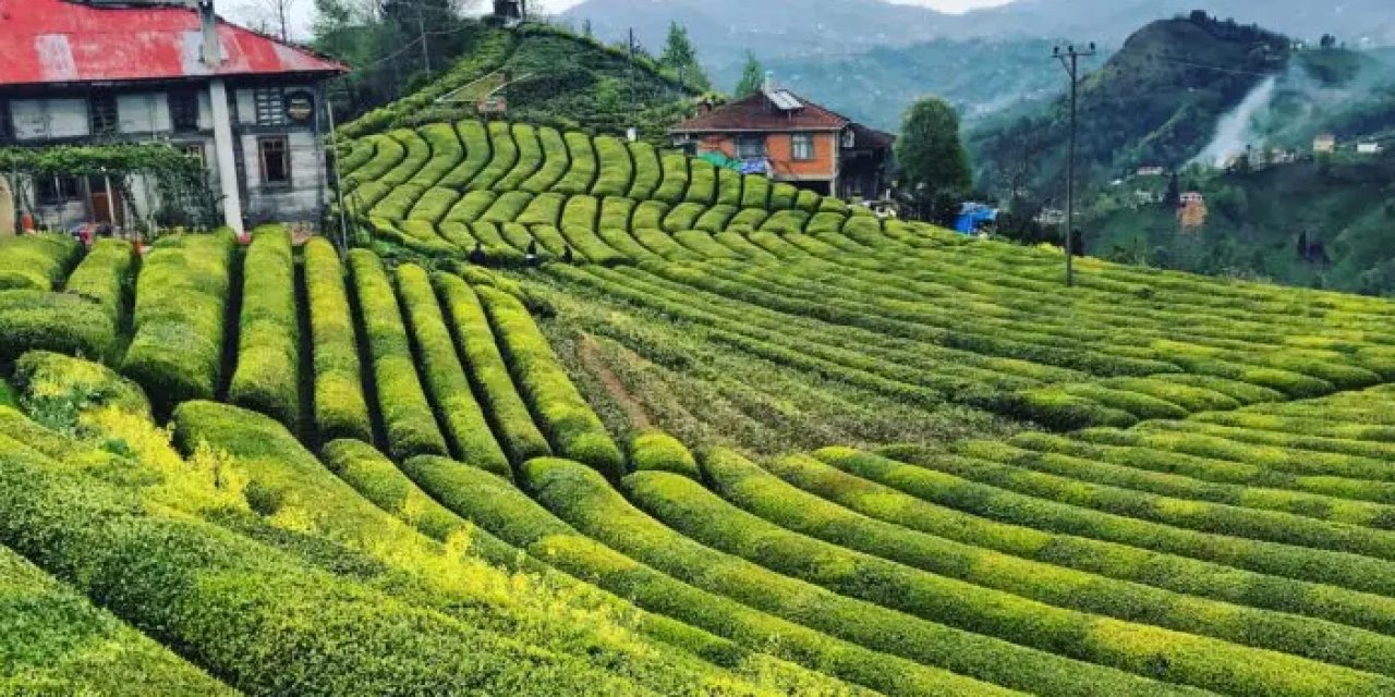 Ankara'da Rize Tanıtım Günleri başlıyor!