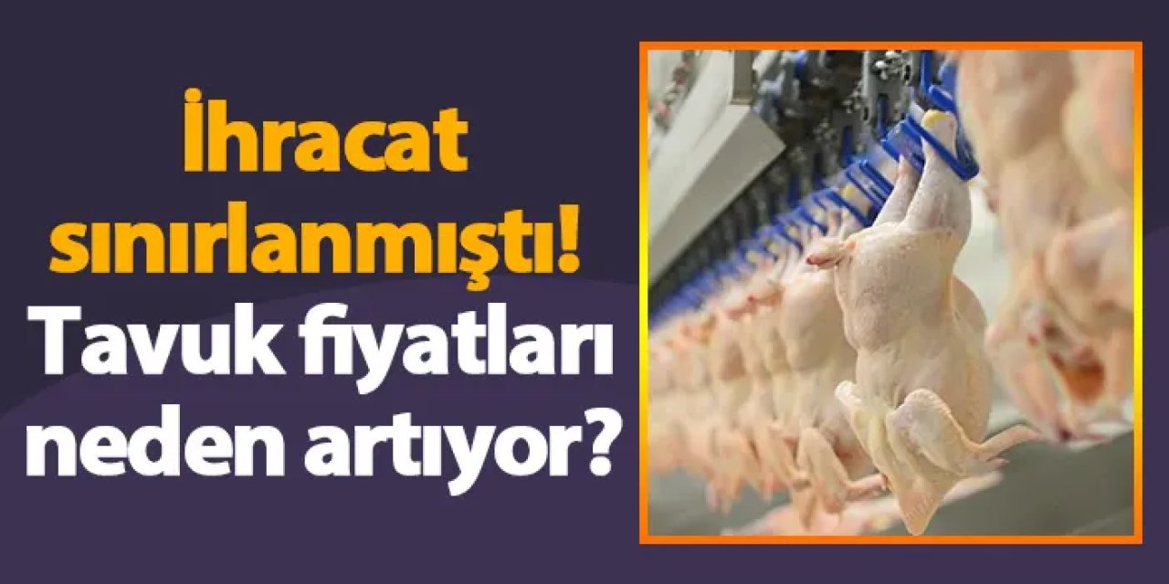 İhracat sınırlanmıştı! Tavuk fiyatları neden artıyor?
