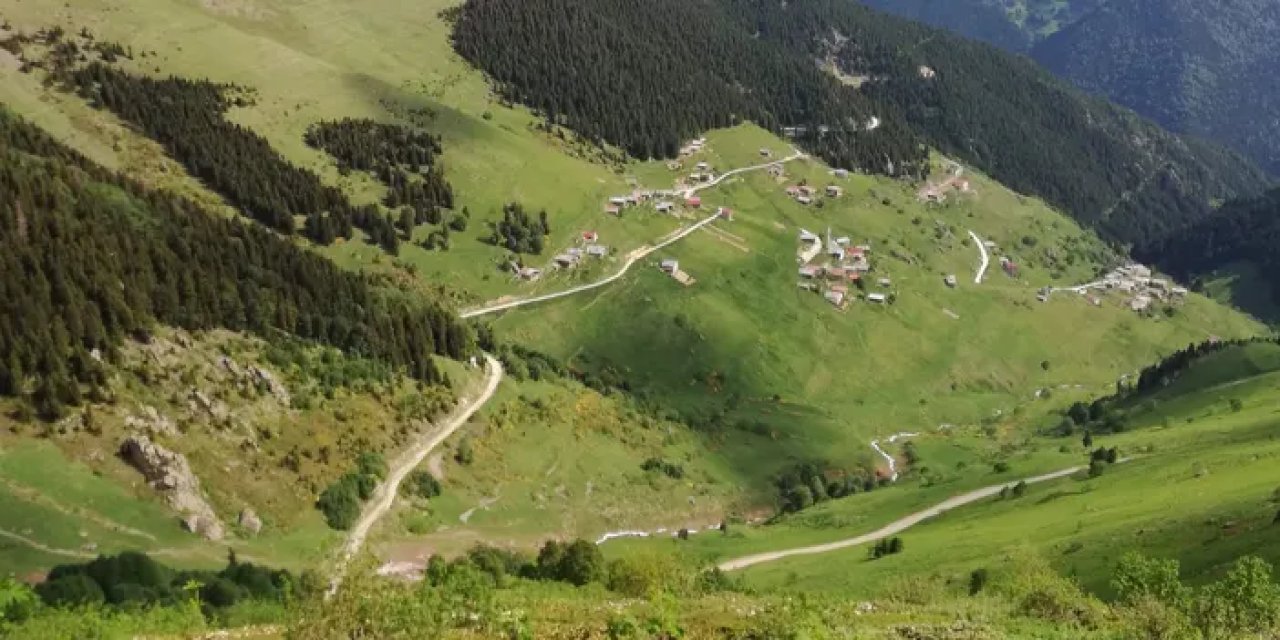 Trabzon'da seçimi kaybeden muhtar rakibini şikayet etti, kendi de ceza aldı! Mahalle muhtarsız kaldı