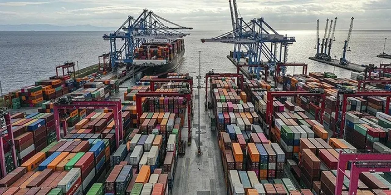 Bulgaristan'dan Türkiye'ye geri gönderildi! Limon üreticisi ve ihracatçılarına soruşturma