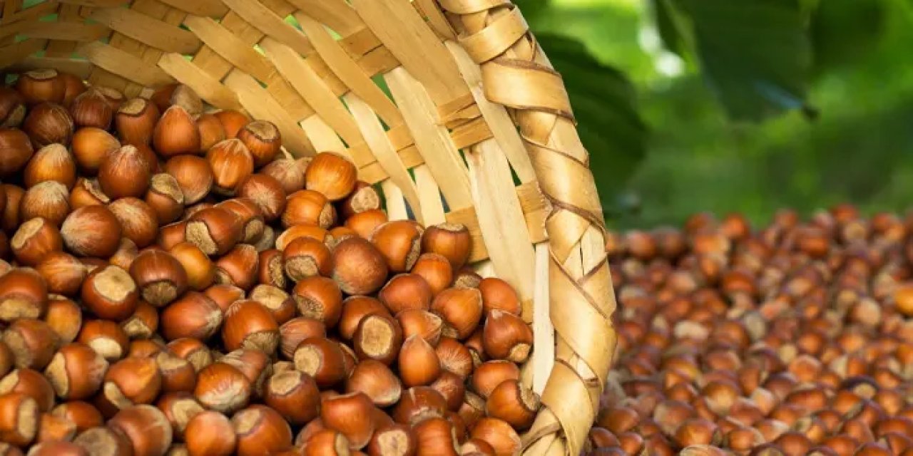 Fındık destek ödemeleri gecikmişti! Trabzonlu vekil TBMM'de tepki gösterdi