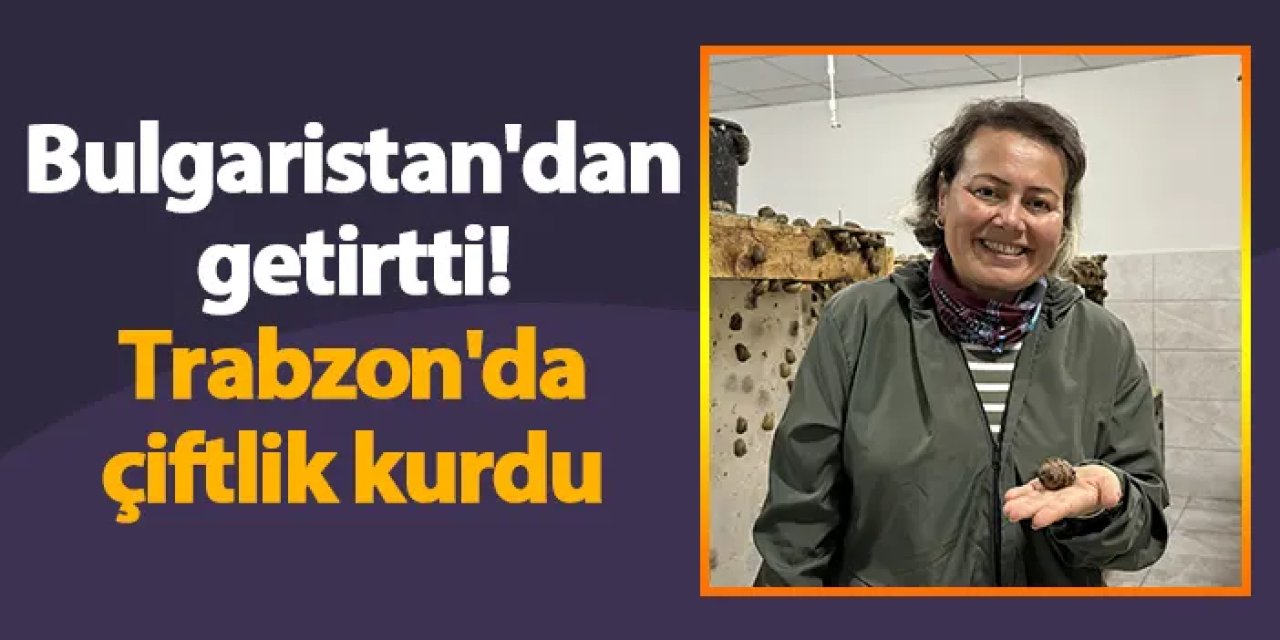 Bulgaristan'dan getirtti! Trabzon'da çiftlik kurdu