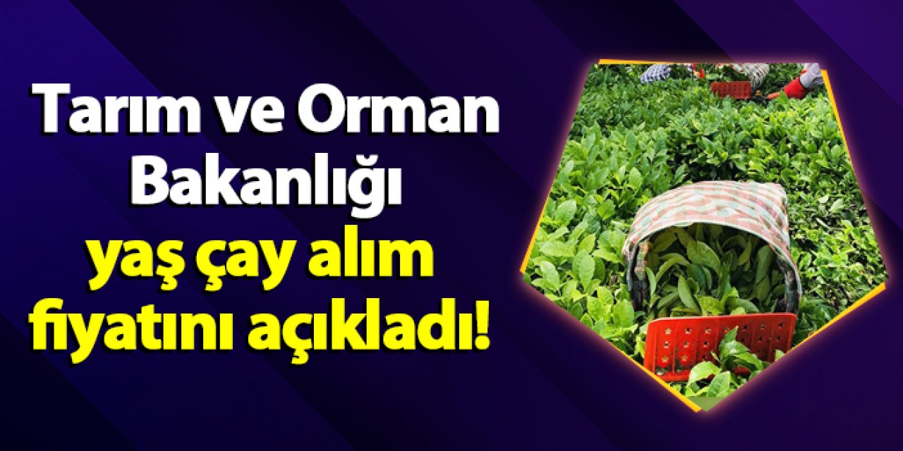 Tarım ve Orman Bakanlığı yaş çay alım fiyatını açıkladı!