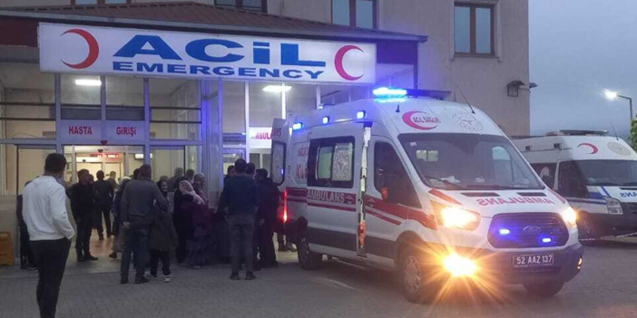 Ordu'da üzerine telefon direği devrilen çocuk ağır yaralandı