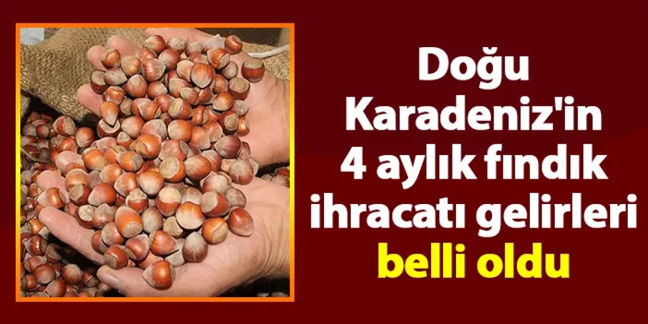 Doğu Karadeniz'in 4 aylık fındık ihracatı gelirleri belli oldu