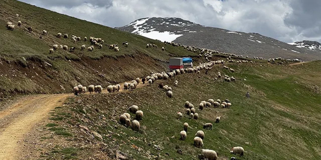 Ordu'da 4 günlük yayla yolculuğu başladı