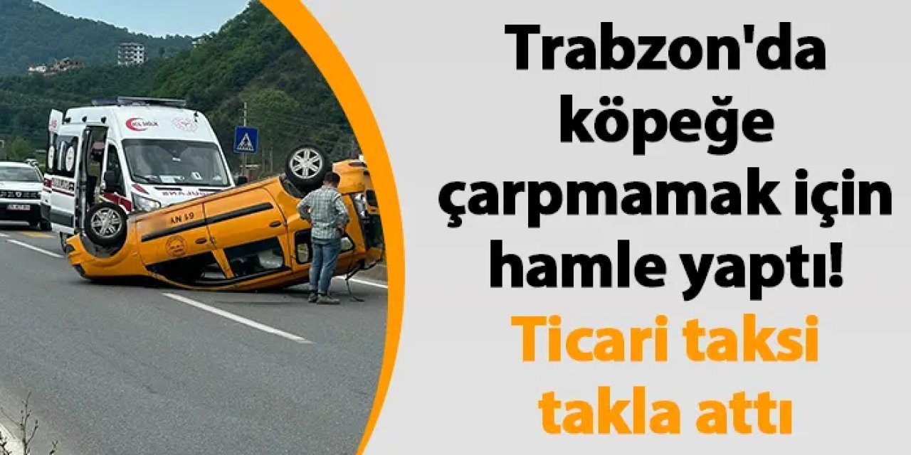 Trabzon'da köpeğe çarpmamak için hamle yaptı! Ticari taksi takla attı