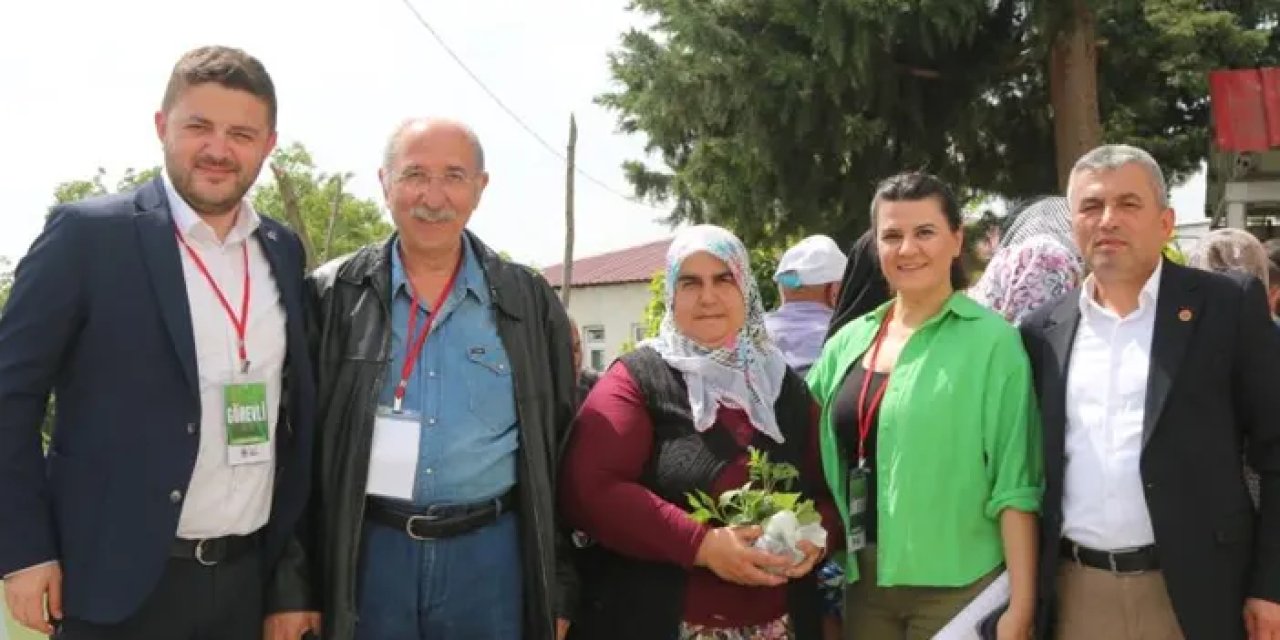 Samsun'da çiftçiye 30 bin fide desteği