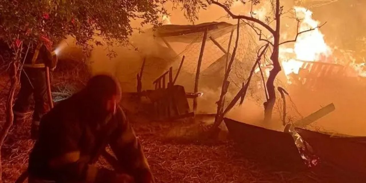 Aydın'da alevler geceyi aydınlattı! Yangınla ilgili soruşturma başlatıldı