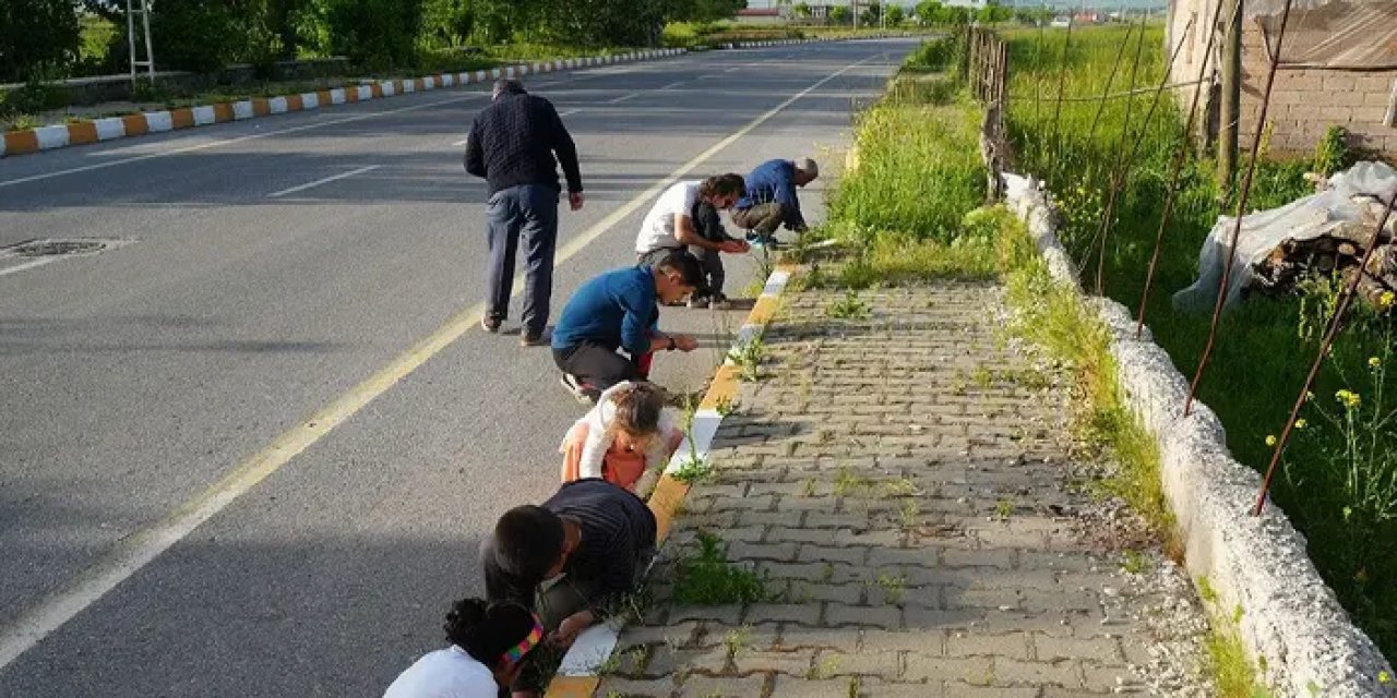 Muş'ta gökten bilinmeyen cisimler yağdı! Vatandaşlar şaştı kaldı