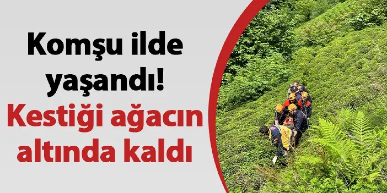 Rize'de bir kişi kestiği ağacın altında kaldı