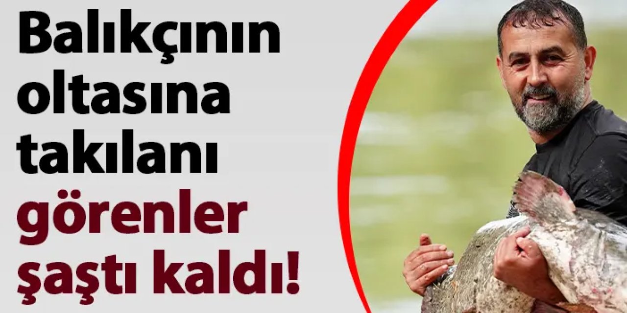 Düzce'de balıkçının oltasına takılanı görenler şaştı kaldı!