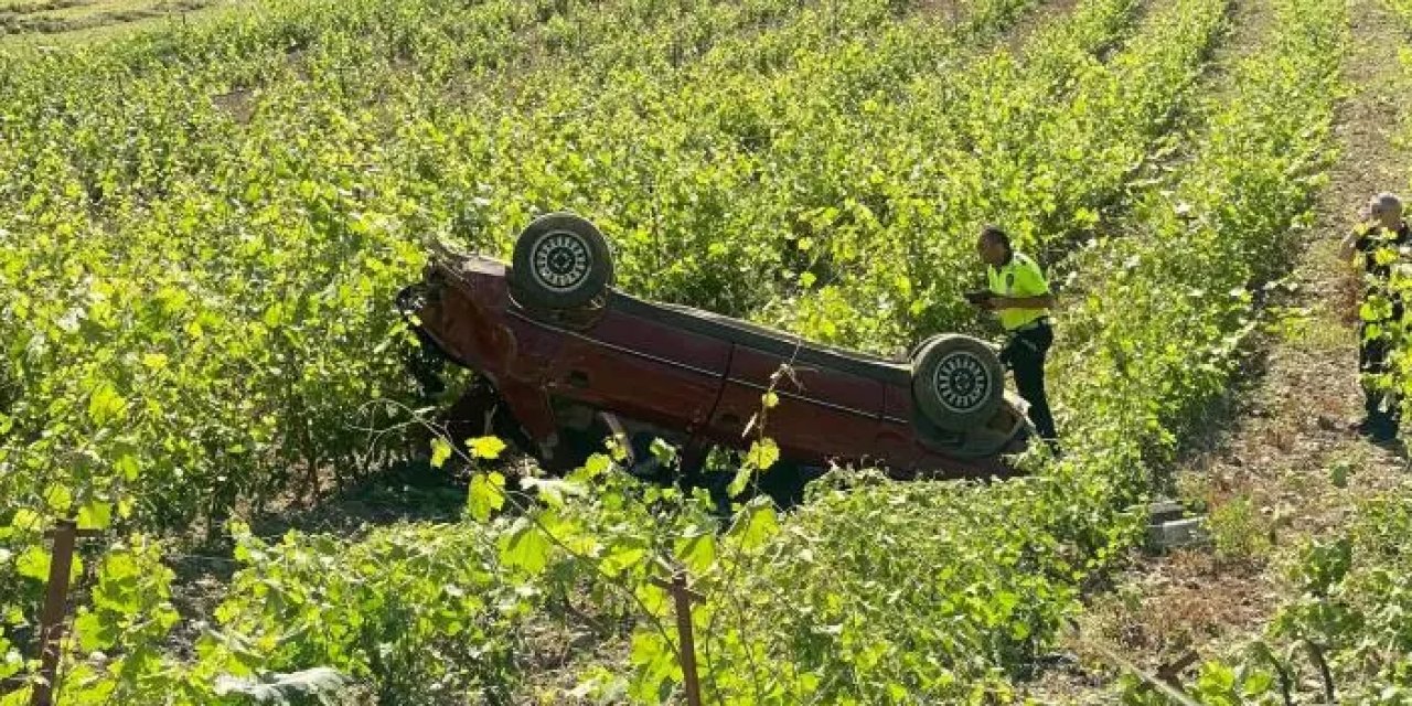 Tokat'ta otomobil üzüm bağına devrildi: 1 yaralı