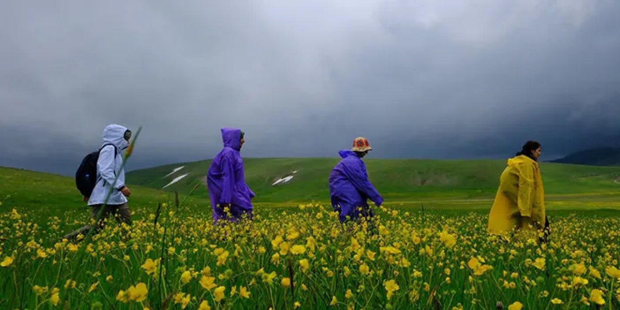 Gümüşhane dağları baharın renklerine büründü