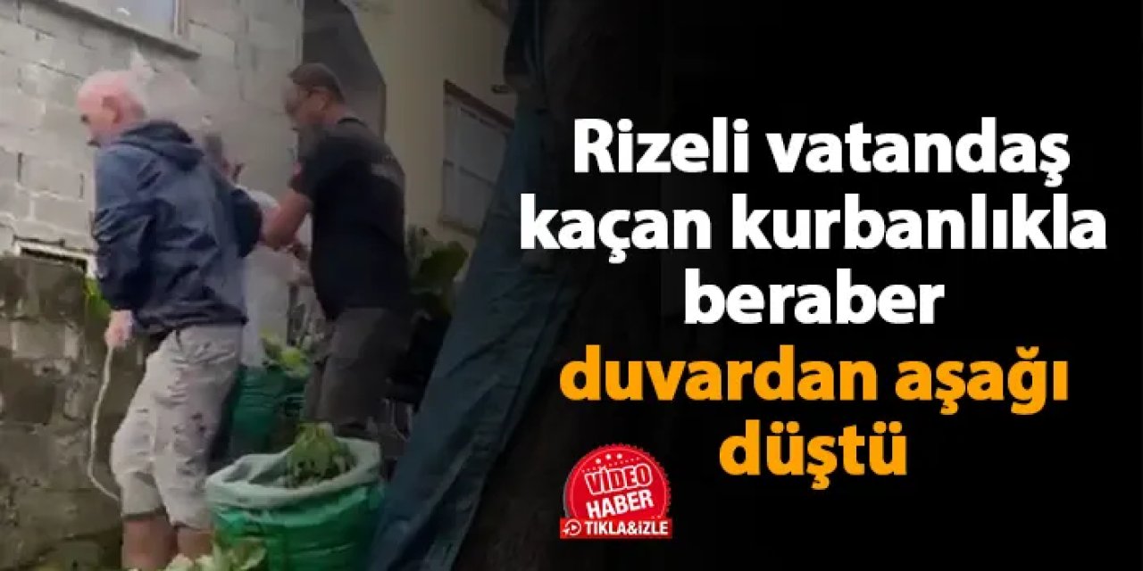 Rize'de vatandaş kurbanlıkla beraber duvardan aşağı düştü