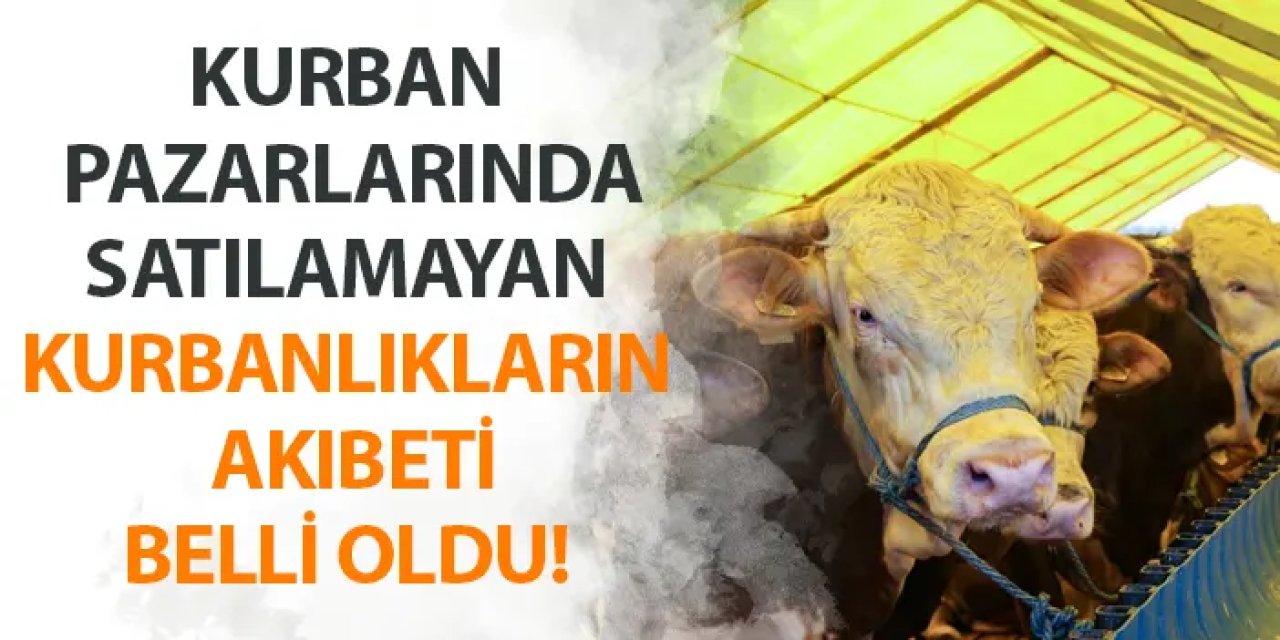 Kurban pazarlarında satılamayan kurbanlıkların akıbeti belli oldu!