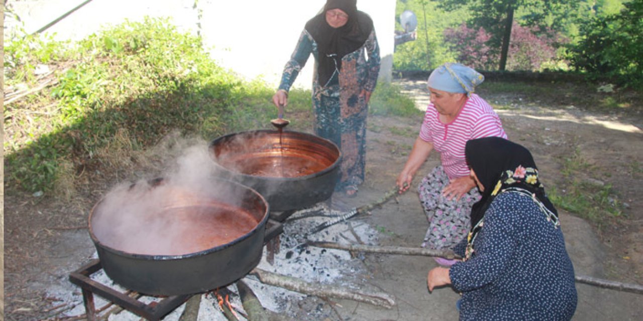 Ordu'da kadınların dut pekmezi mesaisi başladı