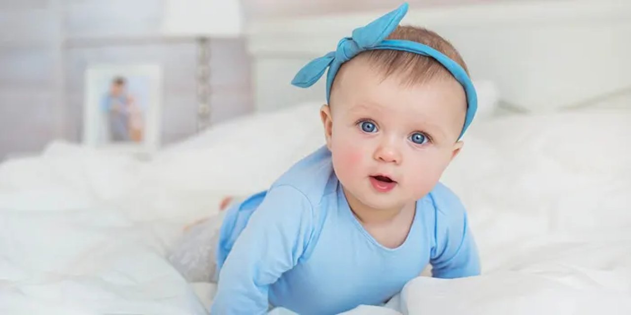 Asel ne demek? Ne anlama gelir?