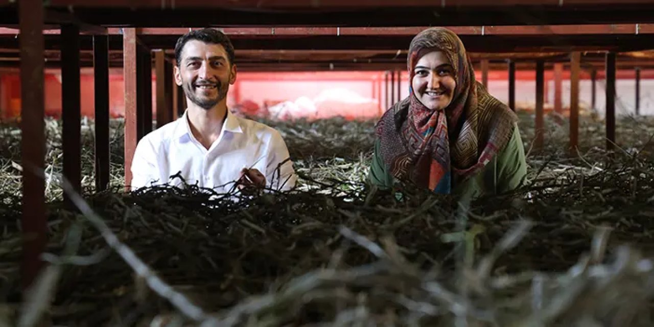 Babaannesinden esinlendi! Tarihin en büyük ipek böcekçiliği çiftliğini Elazığ'da kurdu