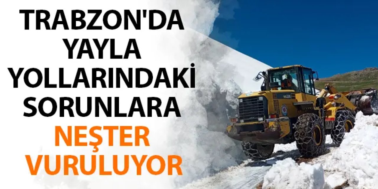 Trabzon'da yayla yollarındaki sorunlara neşter vuruluyor