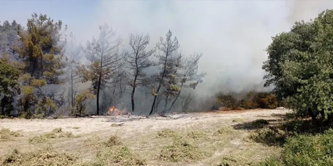 Denizli'de orman yangını! Yürekler ağza geldi