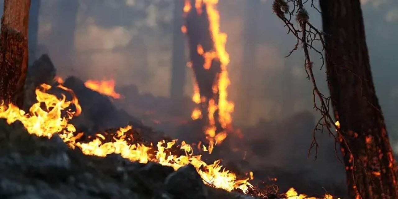 Adıyaman’da köyleri tehdit eden orman yangını!