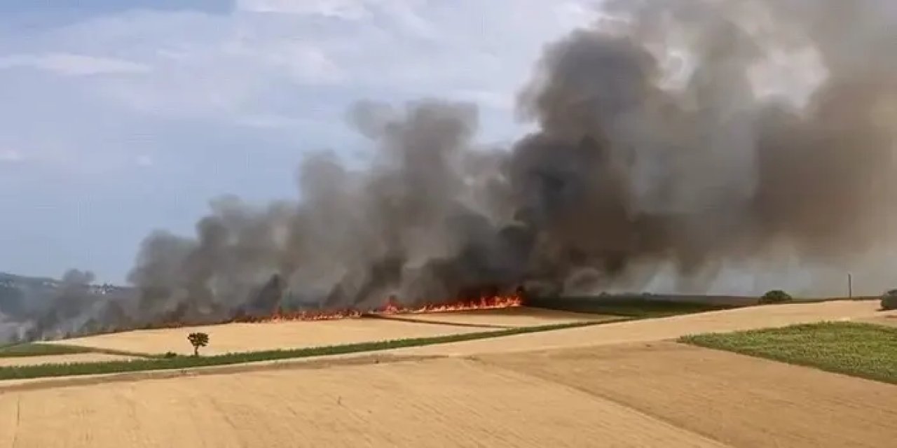 Bursa’da korkunç yangın! 80 dönüm küle döndü