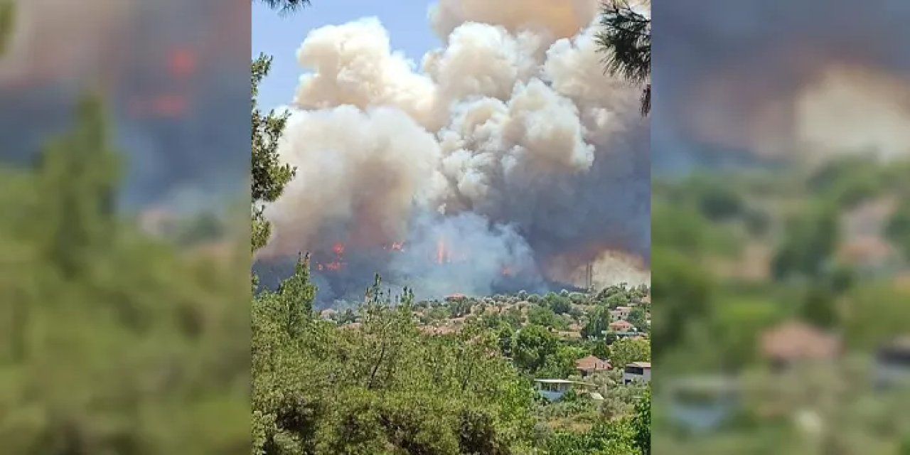 İzmir alev elev! Müdahale sürüyor