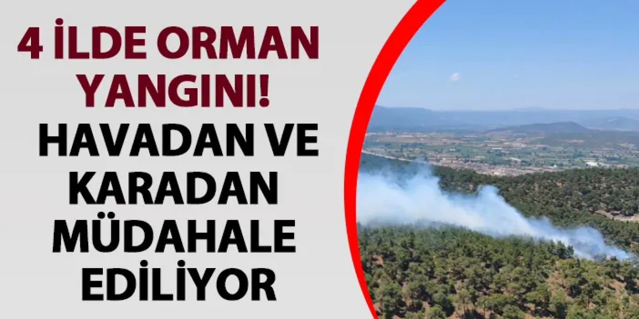 4 ilde orman yangını! Havadan ve karadan müdahale ediliyor