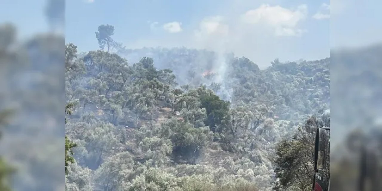 Aydın’da korkutan yangın! Kontrol altına alındı