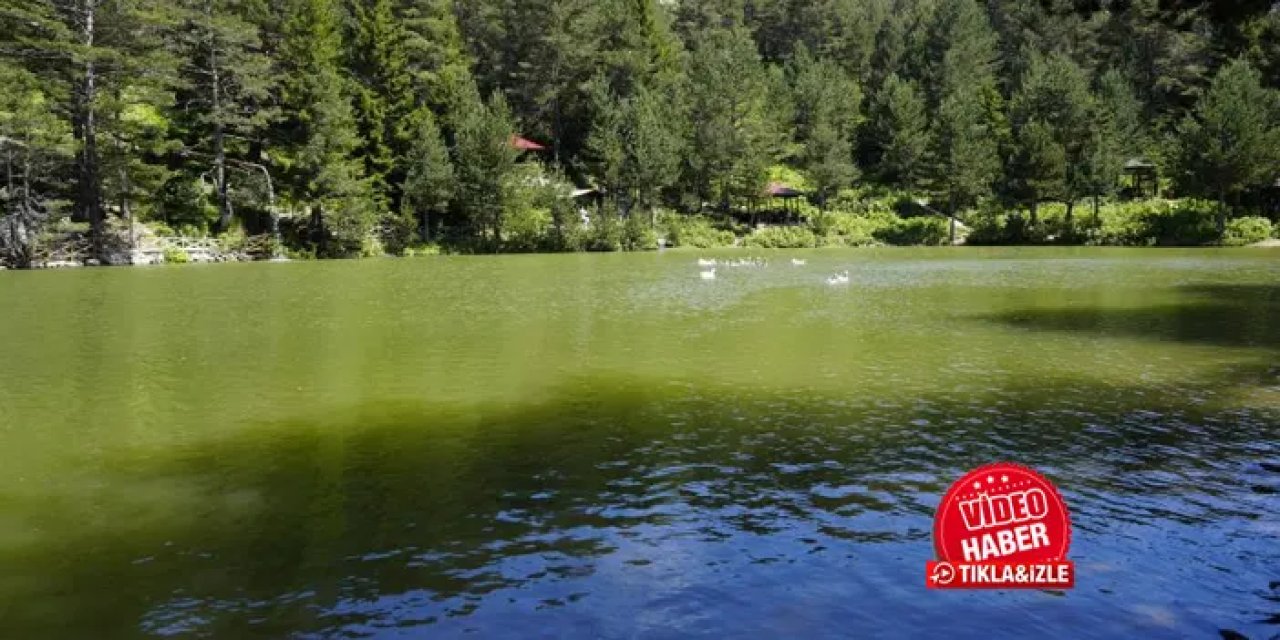 Gümüşhane'nin serin sığınağı! Yaz aylarının gözde adresi ziyaretçilerini bekliyor