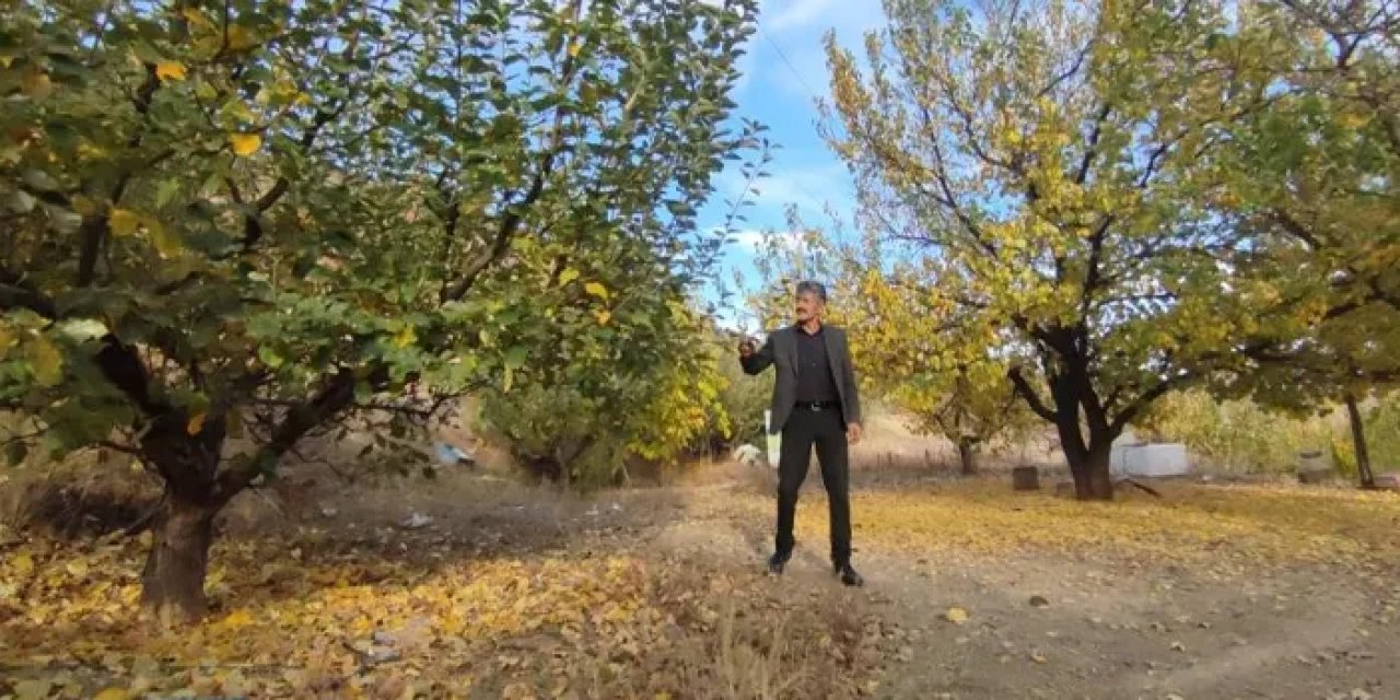 Erzurum'da orman yasağı! Valilik duyurdu