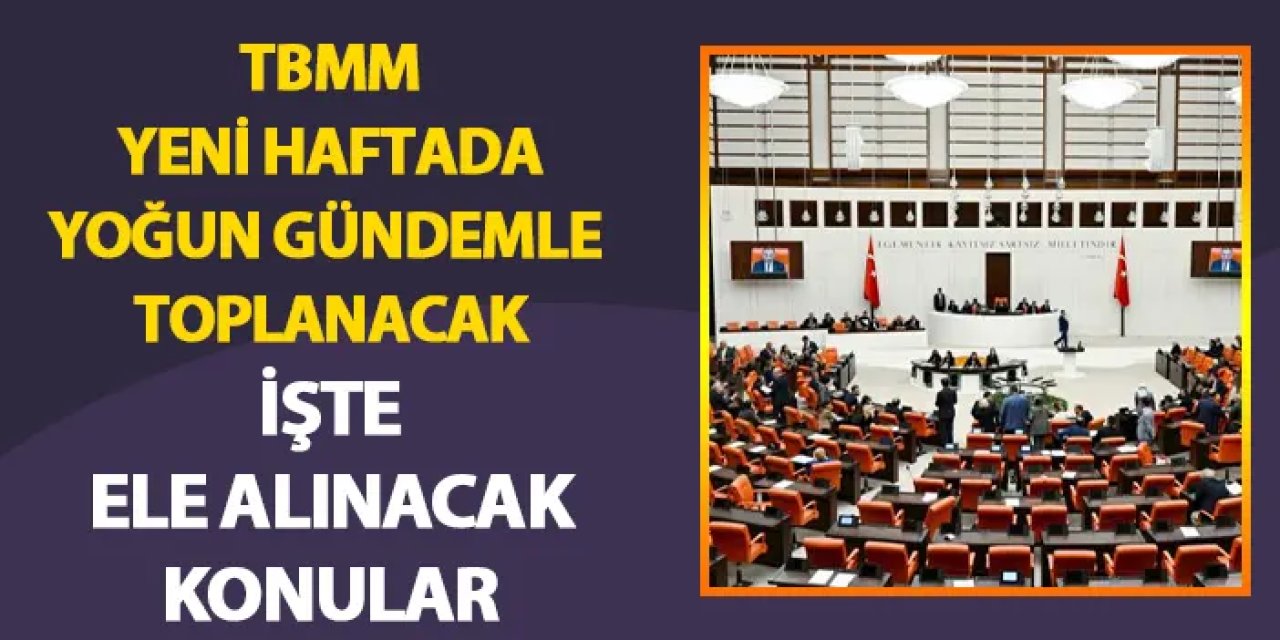 TBMM yeni haftada yoğun gündemle toplanacak