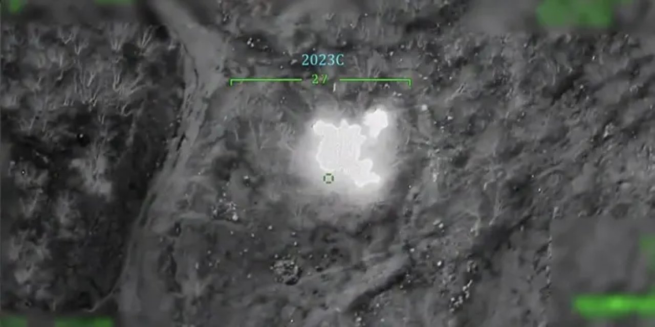 Hainler etkisiz halde!