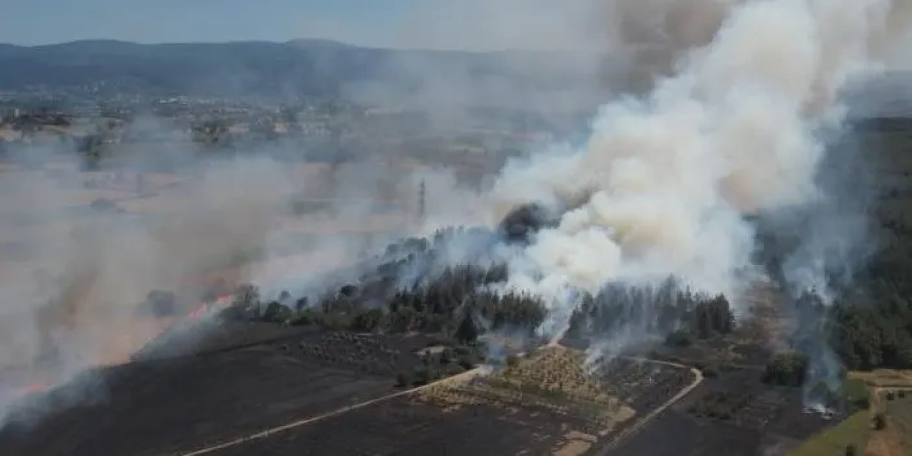 Nilüfer Yolçatı’da makilikte başlayan yangın ormana sıçradı