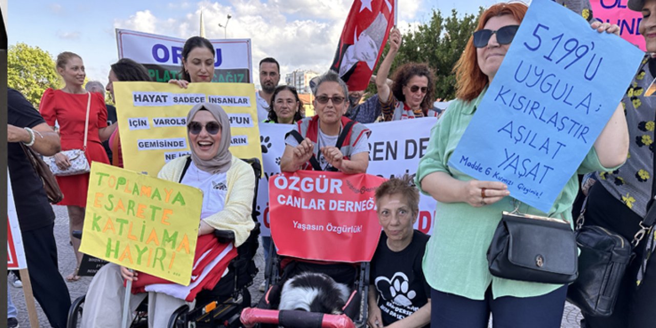 Samsun'da hayvanseverler sahipsiz hayvanlar için yürüdü