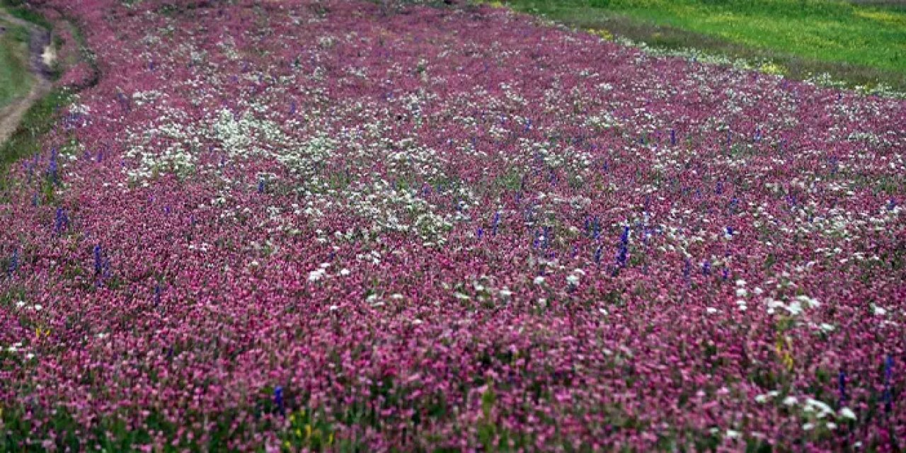 Ardahan’da büyüleyen manzaralar