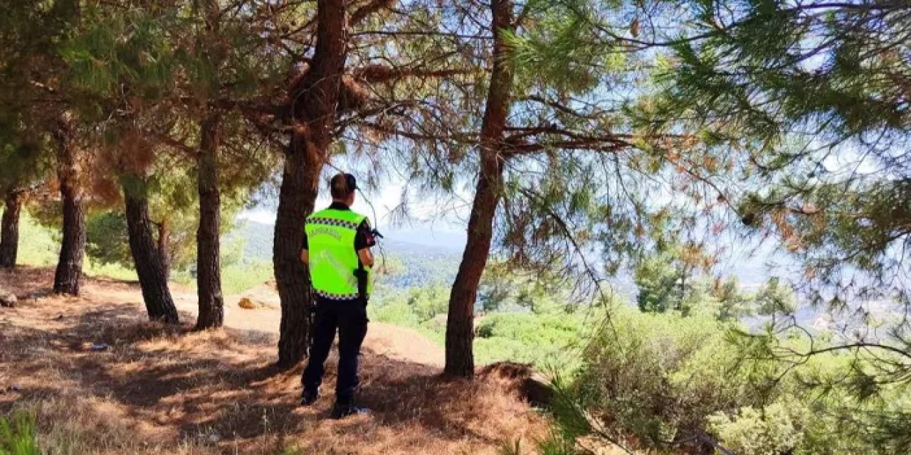 Aydın’da yasak bölgeye girdiler cezayı yediler