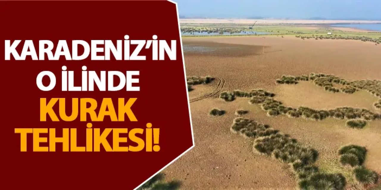 Karadeniz’in o ilinde kurak tehlikesi!