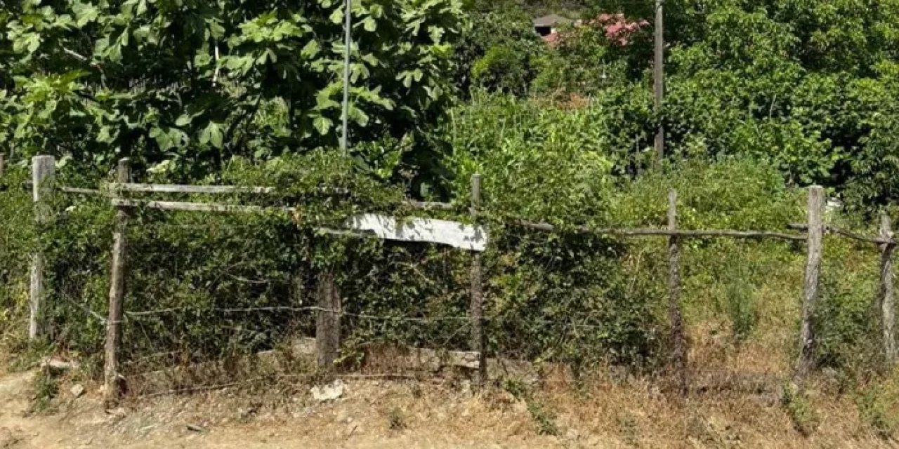 Samsun’da şehitlik berbat durumda