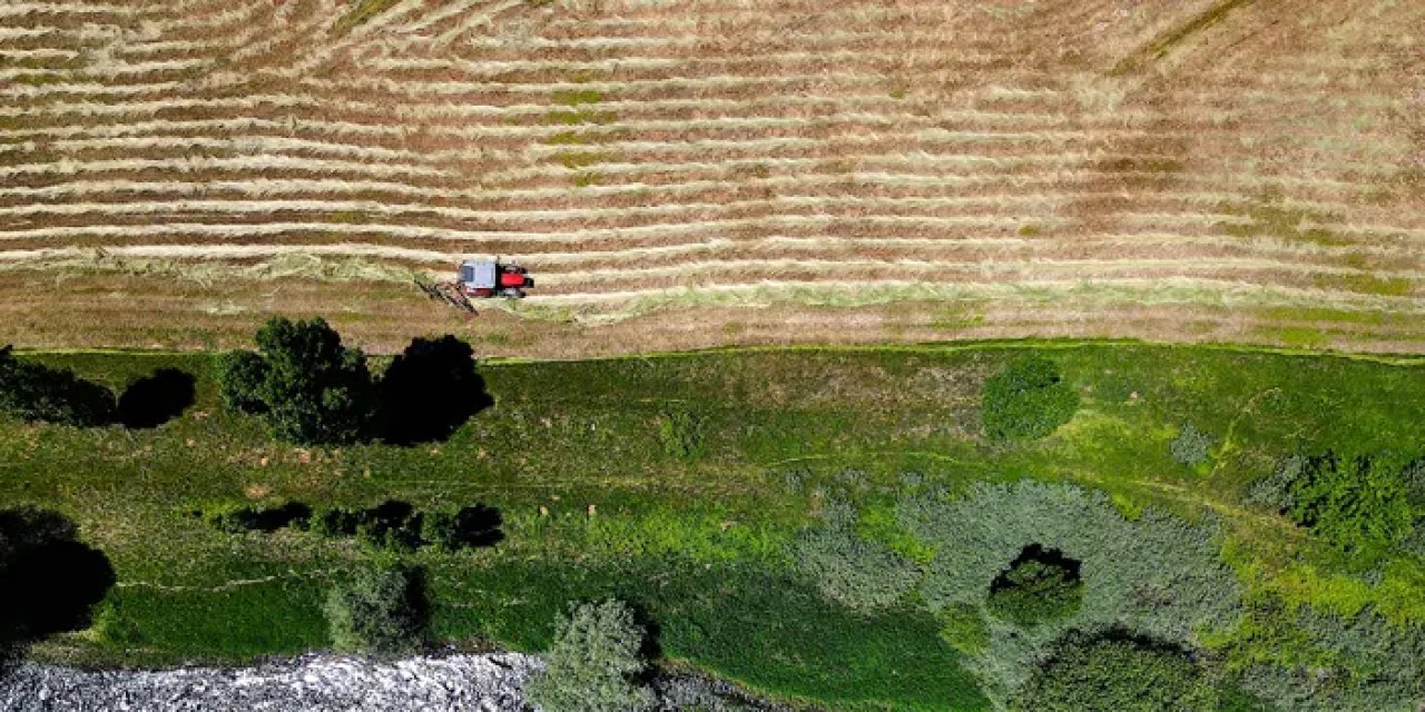 Bayburt’ta yem hasadı başladı!