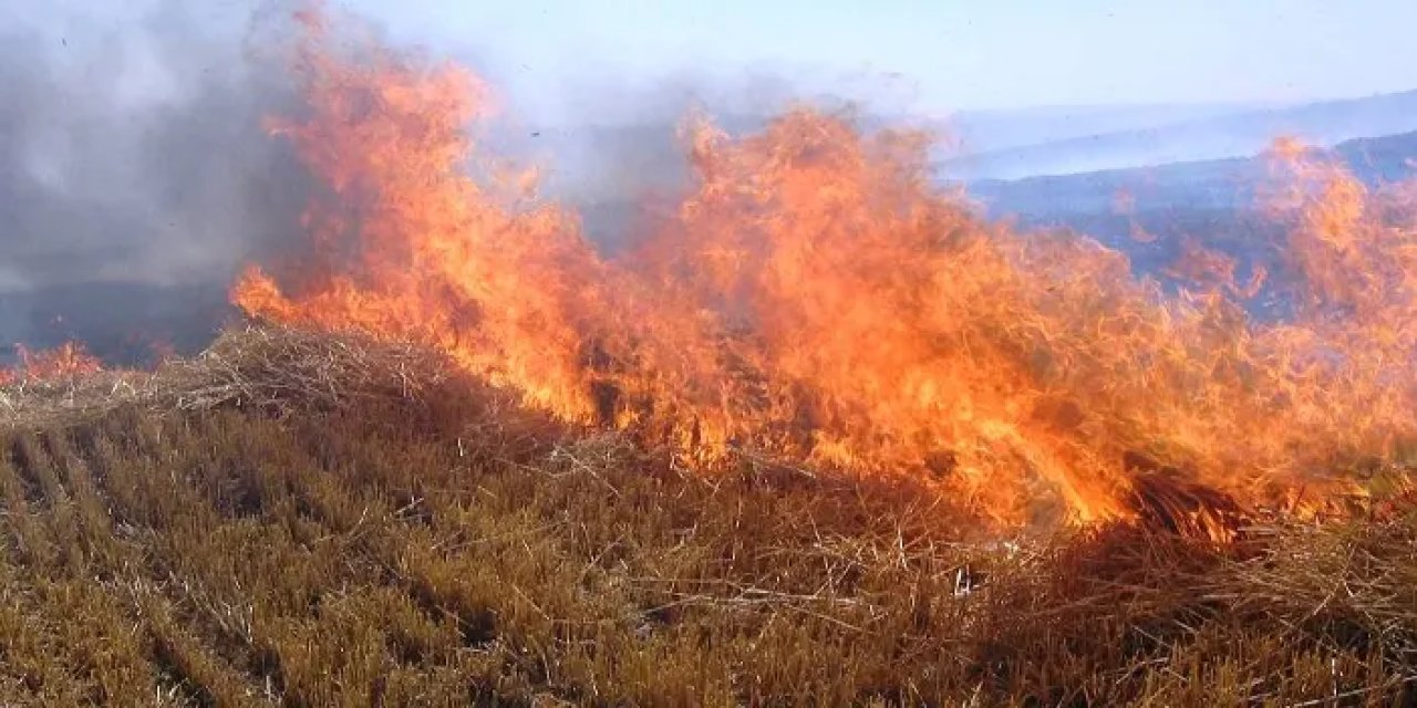 Samsun’da anız uyarısı! Yakmayın