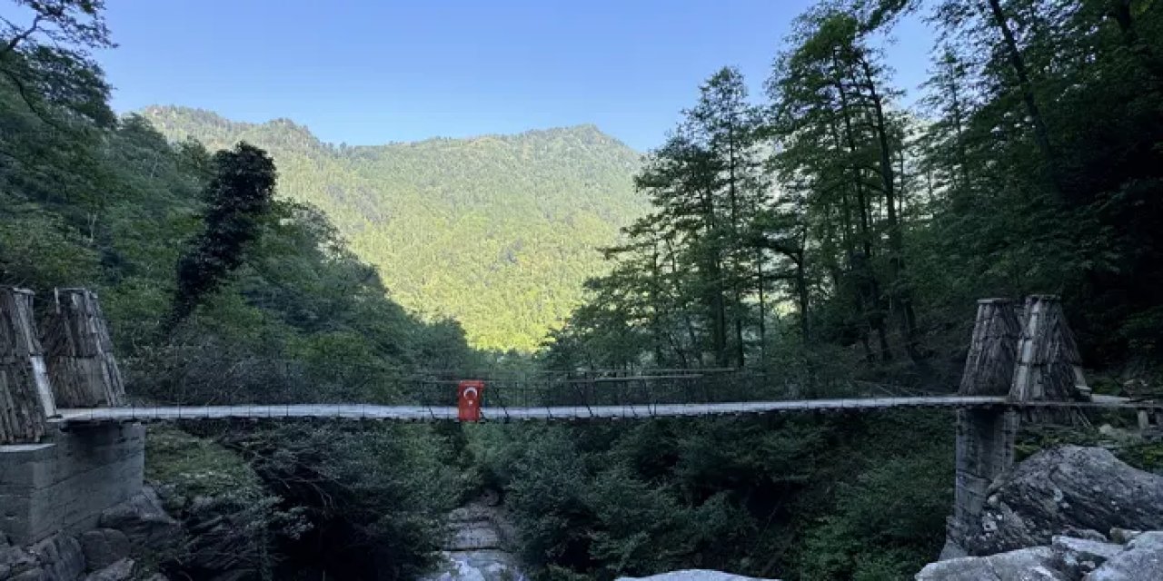 Artvin turizmden daha fazla pay istiyor