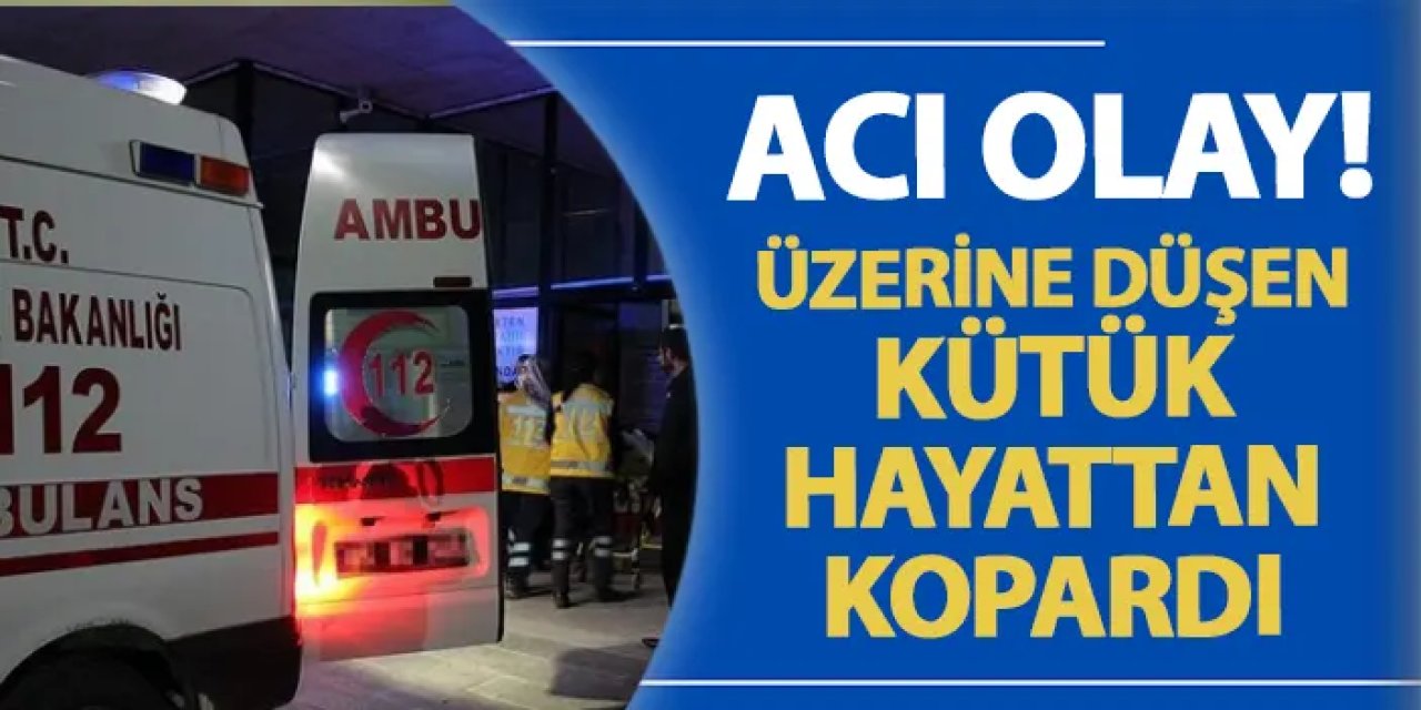 Ordu'da acı olay! Üzerine düşen kütük hayattan kopardı