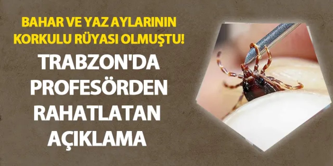 Bahar ve yaz aylarının korkulu rüyası olmuştu! Trabzon'da profesörden rahatlatan açıklama