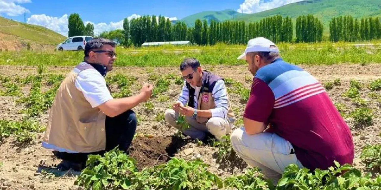 Bayburt’ta patates tarlaları kontrolden geçti