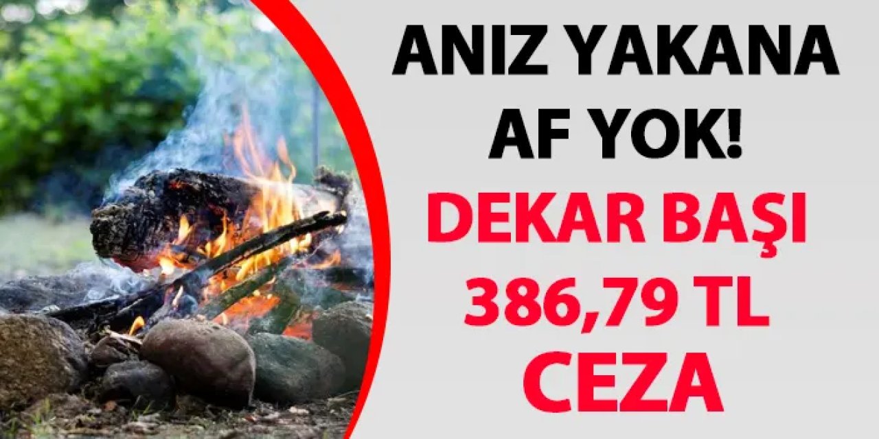 Samsun İl Tarım Müdürü açıkladı: “Anız yakana dekar başı ceza"