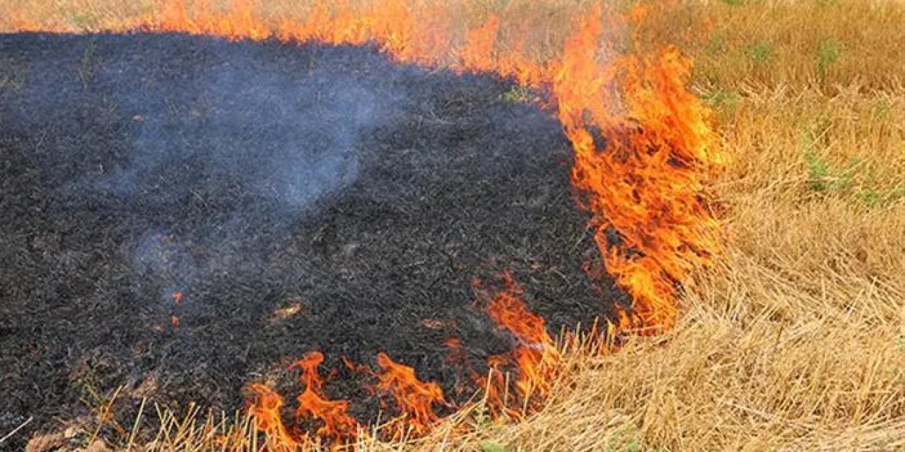 Samsun'da anız yakanlara ceza