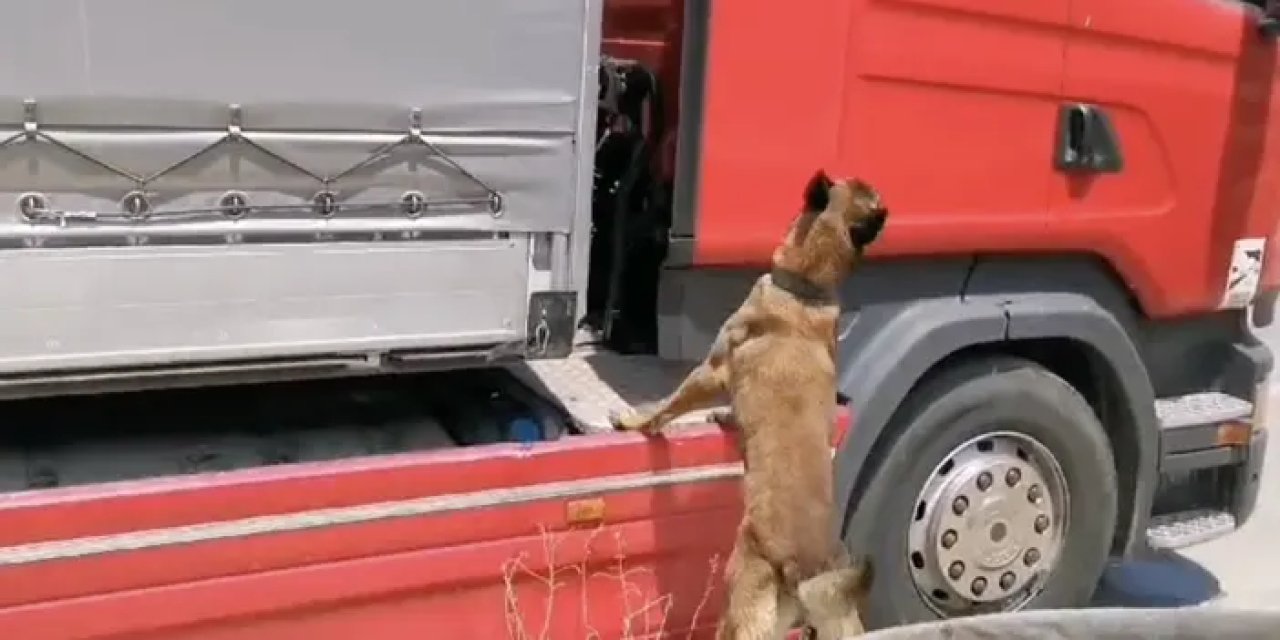 Samsunda uyuşturucu Hektör’den kaçmadı!