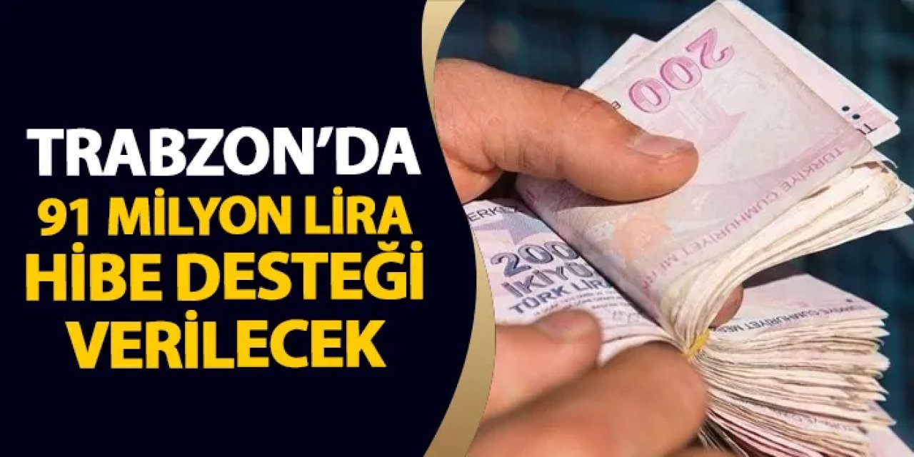 Trabzon'da 91 milyon liralık hibe desteği verilecek